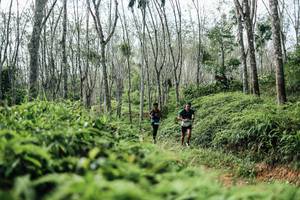 BIB: 
                            <button type="button" onclick="openModal(26339951)" class="btn btn-primary btn-sm float-right btn-popup" data-toggle="modal" data-target=".modal-high-quality">
                        <i class="fas fa-shopping-cart"></i> Add to Cart
                    </button>
                                            <button type="button" onclick="isThisMe(26339951, true)" class="btn btn-success btn-sm float-right btn-popup btn-isme hidden" data-toggle="tooltip" data-placement="bottom" title="นี่คือรูปของคุณใช่ไหม คลิกที่นี่เพื่อเอาเข้าอัลบั้ม">
                        <i class="fas fa-plus"></i> Add to album
                    </button>
                    <button type="button" onclick="isThisMe(26339951, false)" class="btn btn-warning btn-sm float-right btn-popup btn-isnotme hidden">
                        <i class="fas fa-ban"></i> Remove from album
                    </button>